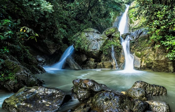 Tin-06 : Nature’s Oasis – Honolulu and Chullachaqui Falls Exploration