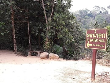 Khao Yai National Park Jungle Trekking Day Trip From Bangkok