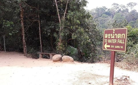 Khao Yai National Park Jungle Trekking Day Trip From Bangkok