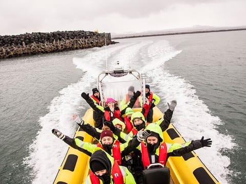 Puffin Tour by RIB Speedboat from Downtown Reykjavik, photo 2