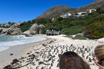 Full-Day Cape of Good Hope and Table Mountain with Penguins Tour