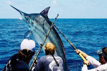 Punta Cana Deep Sea Fishing Trip with Expert Crew Guidance