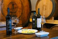 Half Day Tour - Deep and Dark Red Wine of Pelješac 5