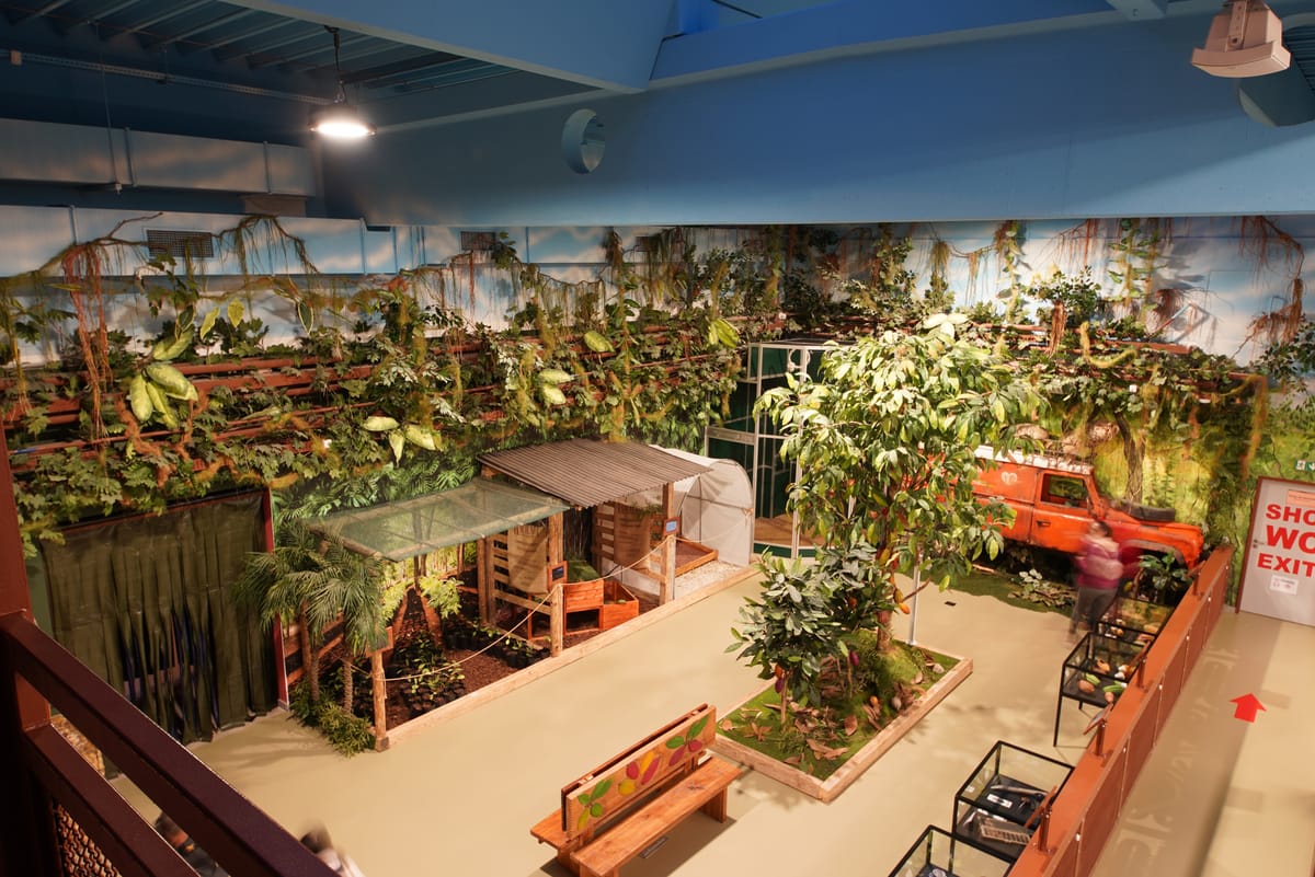 Chocolate workshop with factory tour