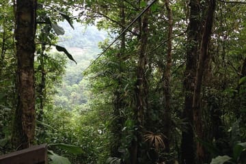 Canopy Zip Line Adventure at Hanging Bridges from San José