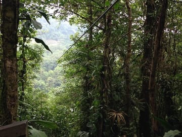 Canopy Zip Line Adventure at Hanging Bridges from San José