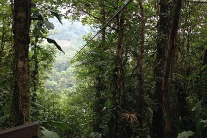 Canopy Tour in The Fabulous Hanging Bridges from San José
