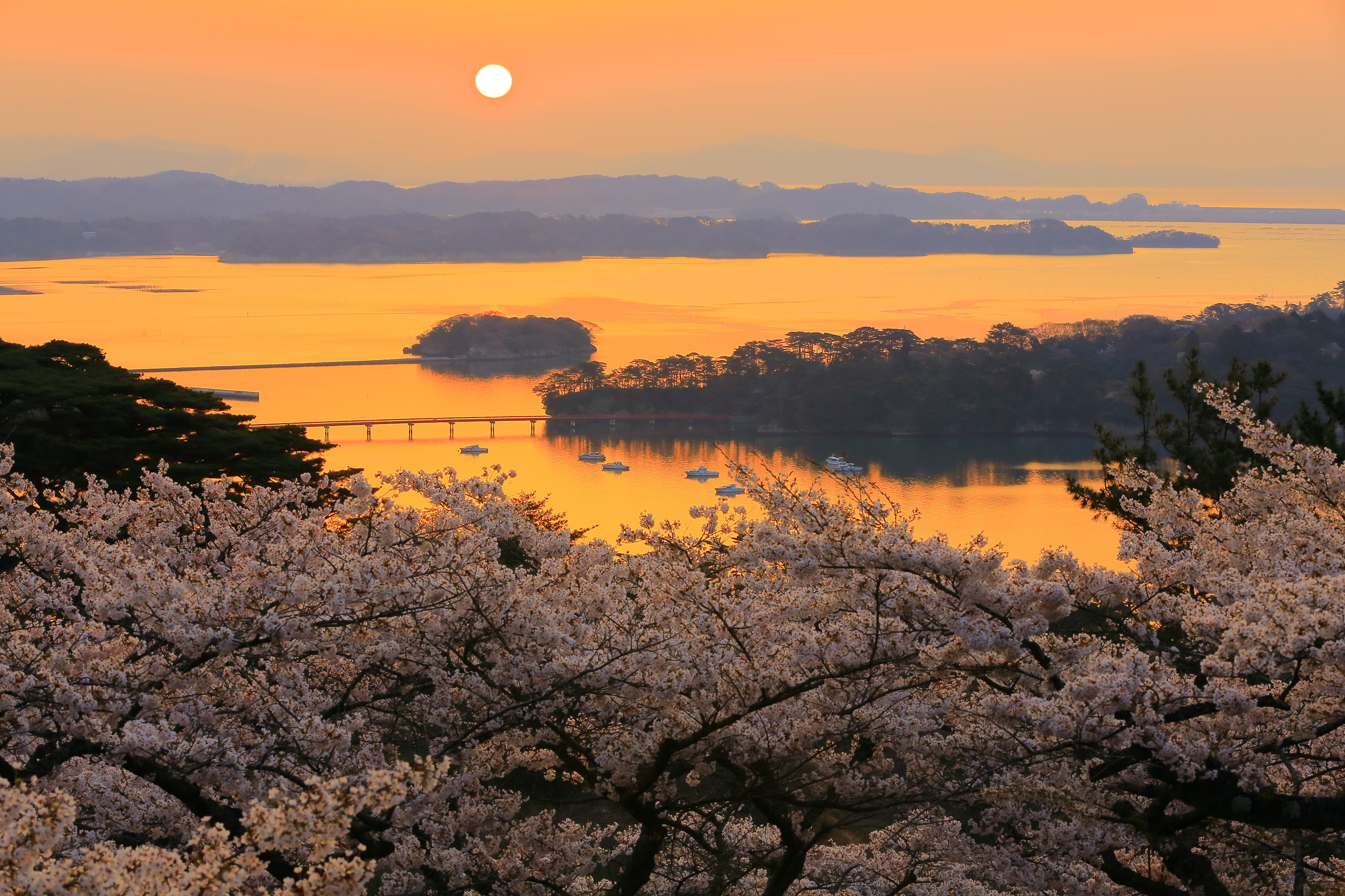 Matsushima Custom Day Tour