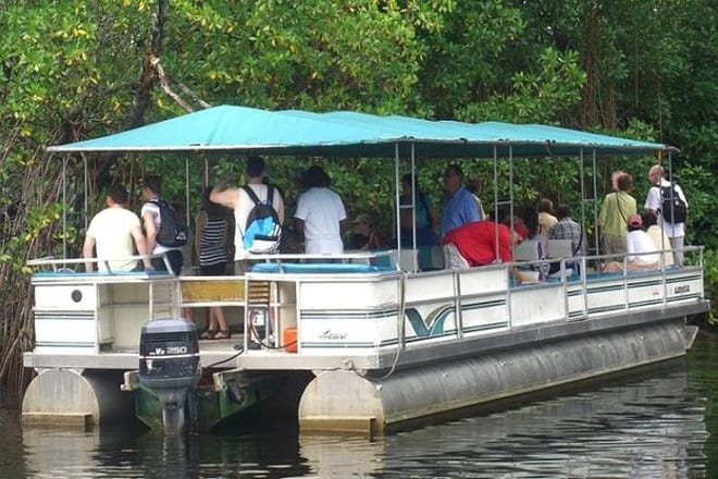 BLACK RIVER SAFARI TOUR