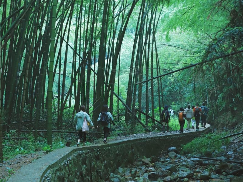 Shanghai: Yuyao Streams, Ming Trail & Bayberry Day Trip
