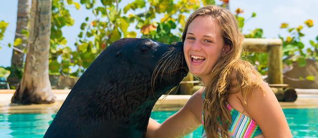 Dolphin Explorer - A Wild Life Park