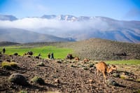 2-Day Trip to Ouarzazate 4