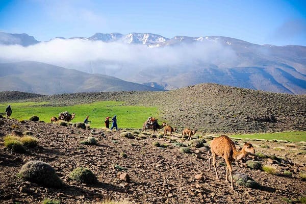 2-Day Trip to Ouarzazate 4