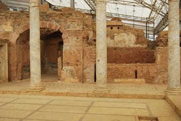 Ephesus Private Shore Excursion From Kusadasi Port