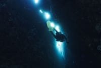 Scuba Diving at night in Mirissa 4