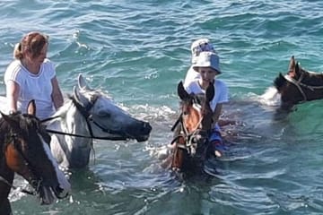 Horseback Riding Tour in the Desert and Beach of Hurghada