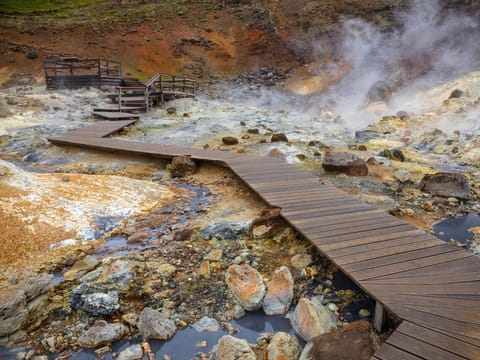 Reykjanes Peninsula Tour, photo 2