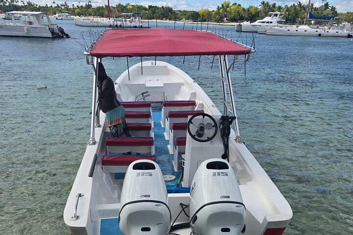 5 tours in 1 (Eco Farm/Horseback/City Tour/Buggy/Zipline)