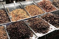 Monks Morning Almsgiving Tour – Traditional Food Offering 10