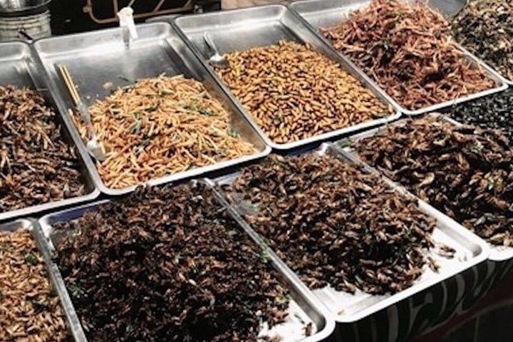 Monks Morning Almsgiving Tour – Traditional Food Offering 10