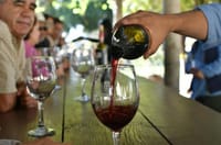 Grand Mexico Wine Country Tour from San Diego 1
