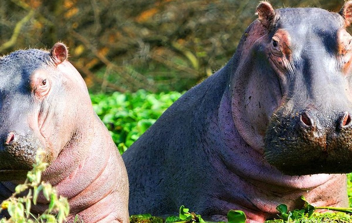 2 days Tour to Hell’s Gate, Lake Naivasha & Crescent Island