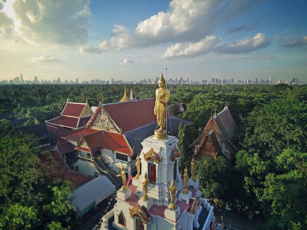 An overview of the green Bangkok Jungle with the city in the background.