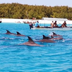 SNORKLING AT MNEMBA ISLAND IN ZANZIBAR