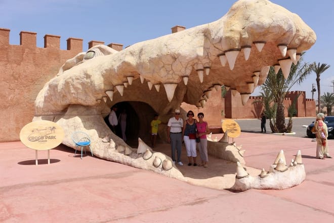 Agadir Dolphin Show & Crocodile Parc | 1 Day : Private & Luxury 6