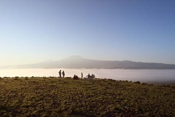 10-Day Kenya Safari with City Tours and Wildlife Adventures