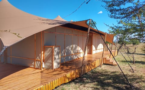 Luxury Camping Experience in Anantya Serengeti, Tanzania