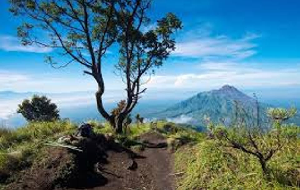 Mount Merapi Volcano Hiking Sunrise Tour from Yogyakarta