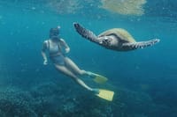 Snorkeling with Whales in Mirissa 4