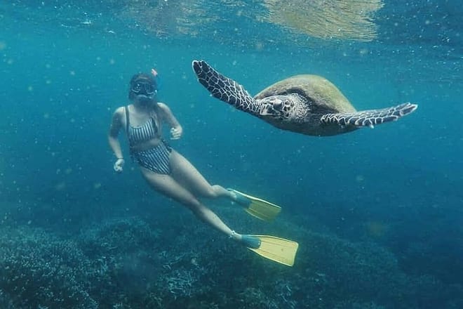 Snorkeling with Whales in Mirissa 4