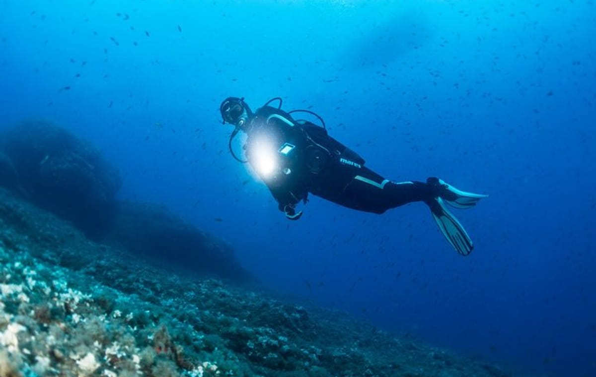 Scuba Diving at night in Mirissa