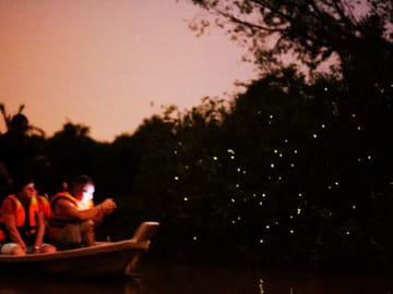 Fireflies and Bioluminescent Night Tour with Seafood Delight (Meet at Location)