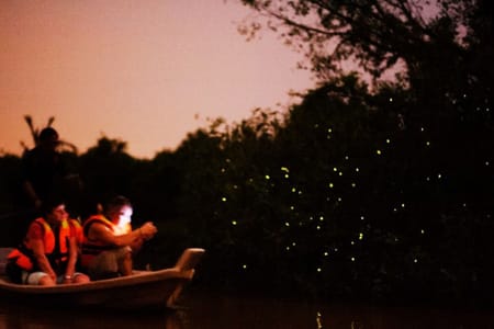 Fireflies Tour with Blue Tears and Seafood Dinner (SIC)