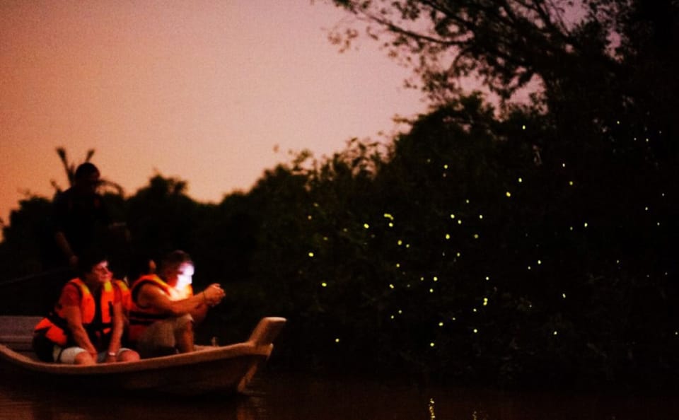 Kuala Selangor Fireflies Tour with Seafood Dinner Experience