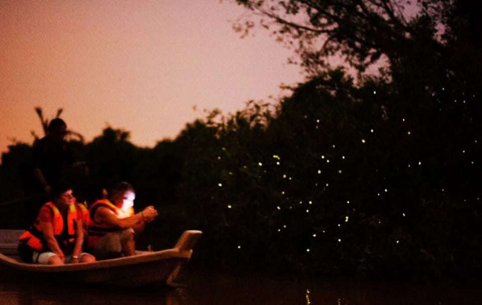 Kuala Selangor Fireflies Tour with Seafood Dinner Experience