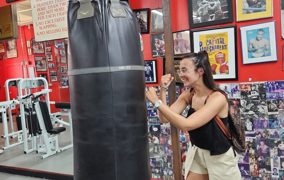 NYC: Iconic Brooklyn – Bridge, Dumbo & Coney Island tour