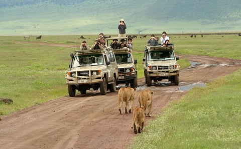 8 DAYS BUDGET GROUP JOINING KENYA AND TANZANIA SAFARI