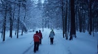 SnowShoe Tour near Brasov 5