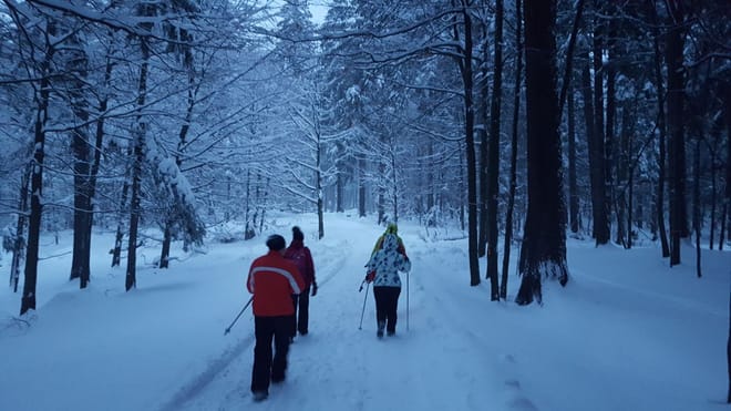 SnowShoe Tour near Brasov photo 5