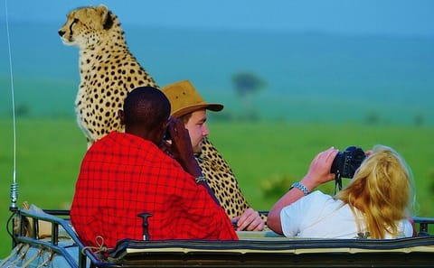 7-Day Budget Safari Adventure in Nairobi and Narok