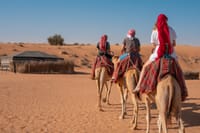 Dubai Morning Heritage Falconry & Nature Safari 1