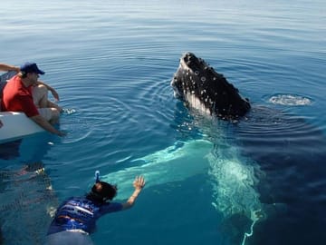 Whale Watching Tour from Tangalla to Mirissa, Sri Lanka