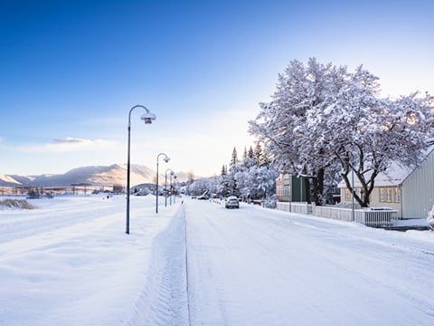 Akureyri Private Walking Tour, photo 11