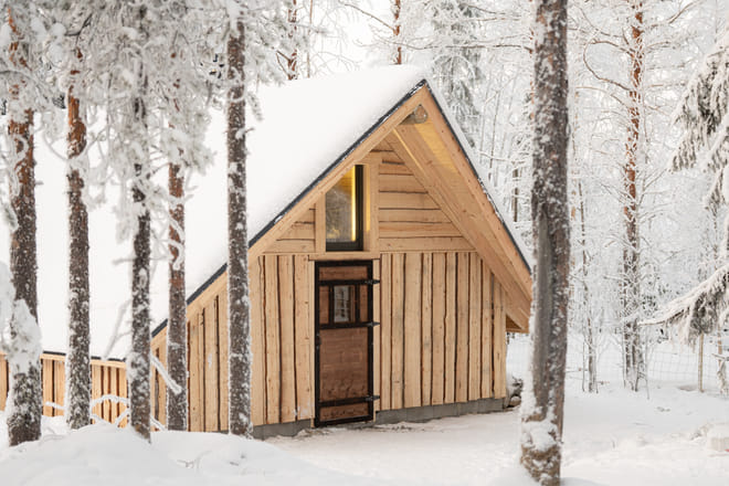 Rovaniemi: Insider 10 km Husky Self‑Drive Adventure