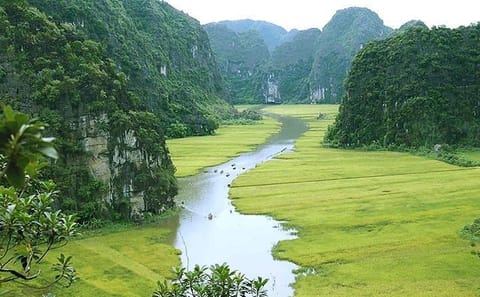 Tam Coc River Day Tour from Hanoi with Hoa Lu Visit