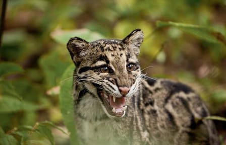 Assam & Arunachal The Buddhist Monasteries & Tribal Culture Tour